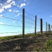 Arame Farpado Galvanizado Nelore 500m