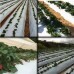 Lona Mulching Cobertura de Solo Branco/Preto - 1,20x500m