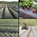 Lona Mulching Cobertura de Solo Preto/Preto - 1,20x100m