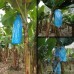 Saco Anti-Inseto Banana - 10 unidades