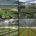 Tela Sombreamento Monofilamento 50% Preta - 3x50m Tela Sombreamento Monofilamento 50% Preta - 3x50m