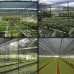 Tela Sombreamento Monofilamento 70% Preta - 1,50x50m Tela Sombreamento Monofilamento 70% Preta - 1,50x50m