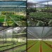 Tela Sombreamento Ráfia/Raschel 50% Preta - 3x50m Tela Sombreamento Ráfia/Raschel 50% Preta - 3x50m