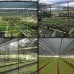 Tela Sombreamento Ráfia/Raschel 70% Preta - 1,50x20m