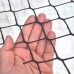 Tela Plástica Hexagonal Galinheiro Malha 2" - 1,50x50m Tela Plástica Hexagonal Galinheiro Malha 2" - 1,50x50m